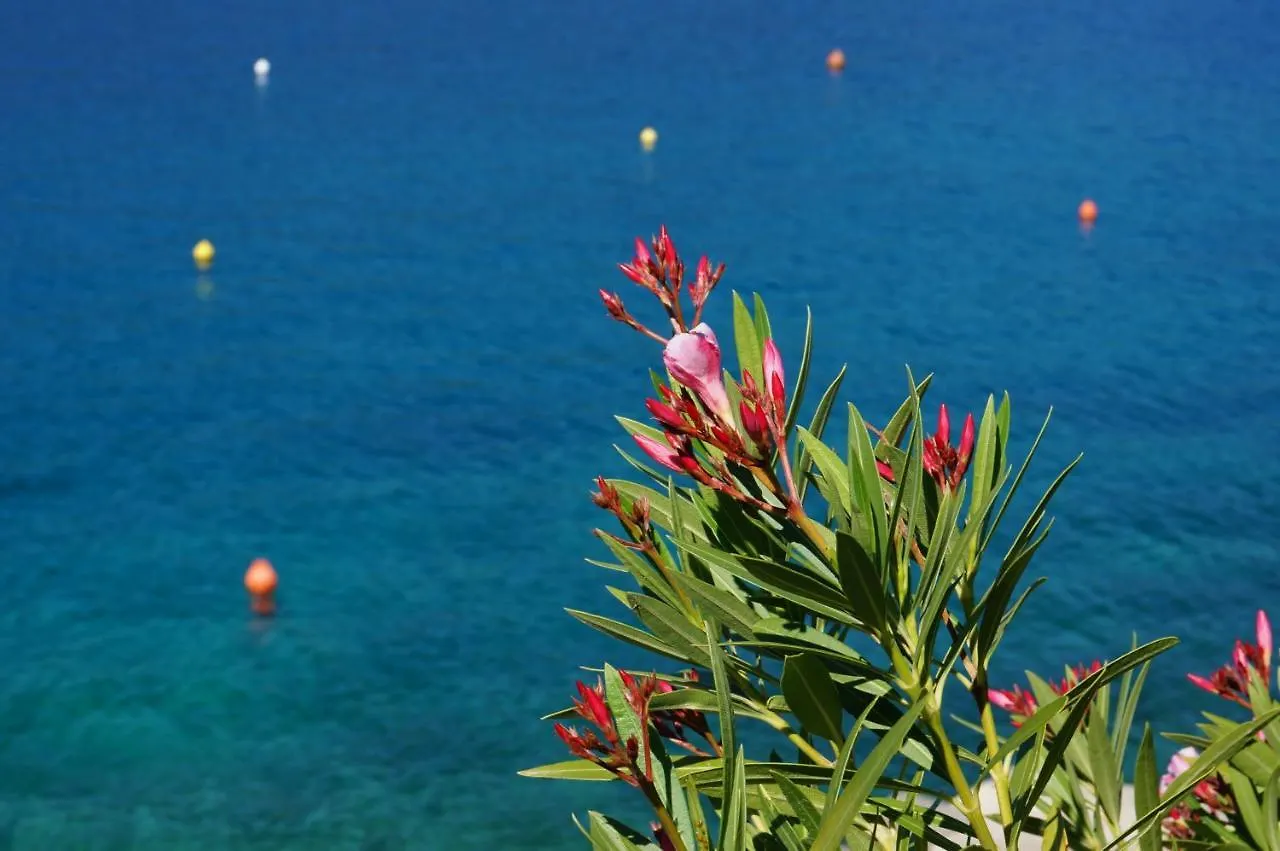 Studio Apartment Michelle - Intermezzo With Sea View Rabac