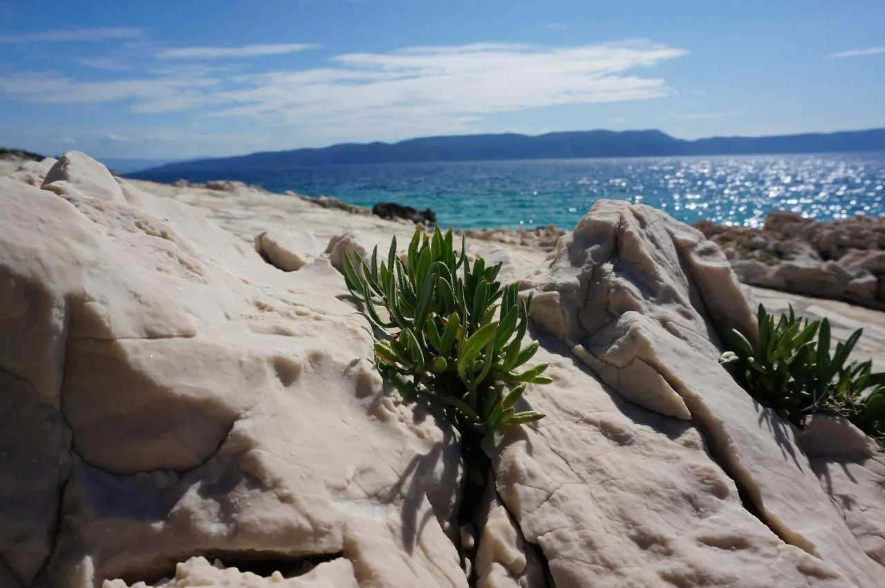 Studio Apartment Michelle - Intermezzo With Sea View 0*, Rabac